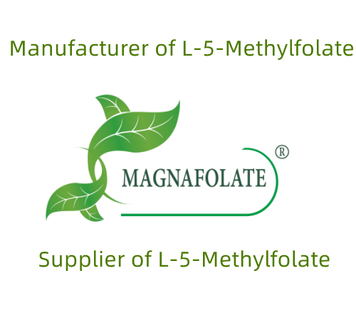Η σημασία του L-Methylfolate για τον οργανισμό