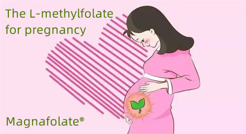 Το L-methylfolate για άτομα εγκυμοσύνης