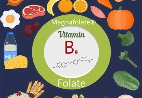 Φολικό οξύ, φυλλικό οξύ και L Methylfolate