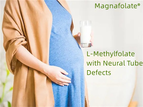 Φολικό, L-Methylfolate με ελαττώματα νευρικού σωλήνα