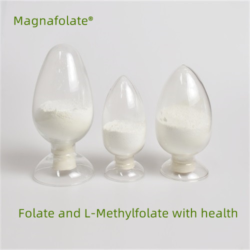 Φολικό και L-Methylfolate με υγεία