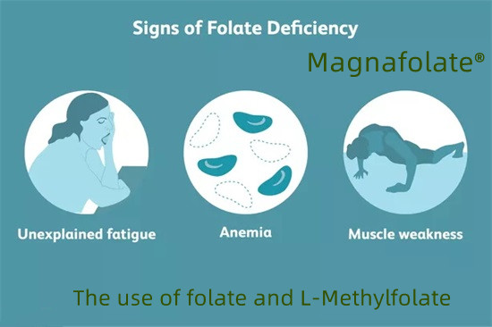 Η χρήση φυλλικού και L-Methylfolate