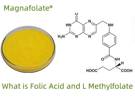 Τι είναι το φυλλικό οξύ-φολικό οξύ-L Methylfolate;