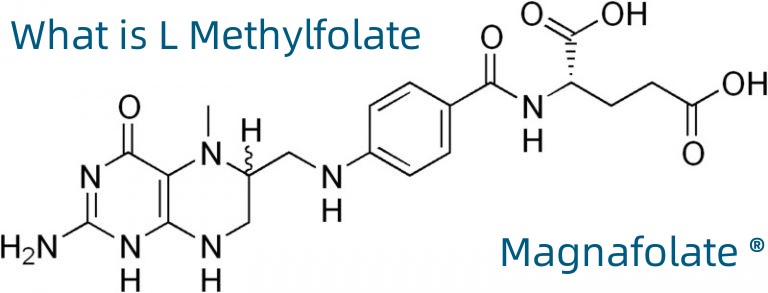 Τι είναι το L Methylfolate;