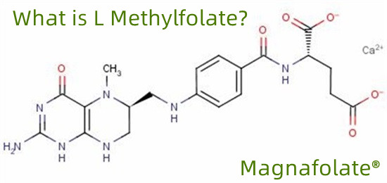 L-methylfolate 151533-22-1 υψηλής καθαρότητας 99% 1000g/σακούλα