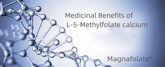 Φαρμακευτικά οφέλη του L-5-Methylfolate ασβεστίου