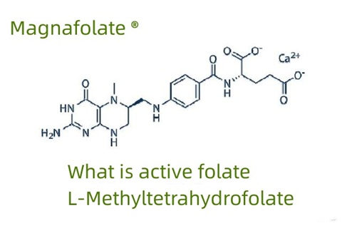 Τι είναι το ενεργό φολικό και το L-Methyltetrahydrofolate