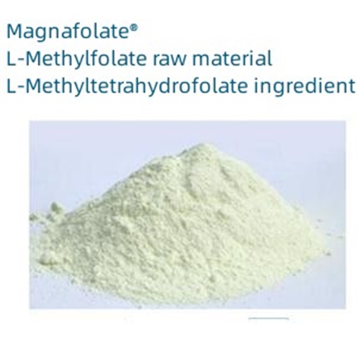 L-5-methylfolate ασβέστιο Βασικές Παράμετροι και Εισαγωγή