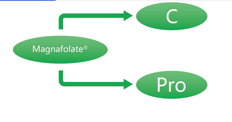 Magnafolate C και Pro-L-Methylfolate Calcium