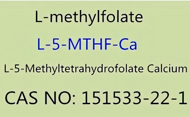 Προμηθευτές L-5-Methyltetrahydrofolate Calcium